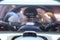 2025 Hyundai TUCSON Limited AWD