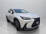 2023 Lexus NX 250 Premium